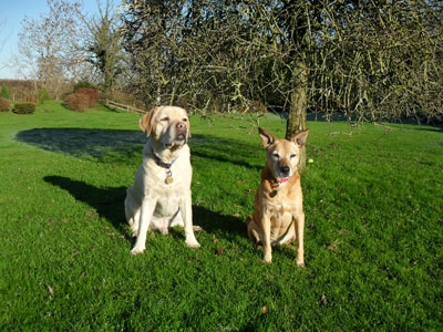 Charlie and Amber in the sun