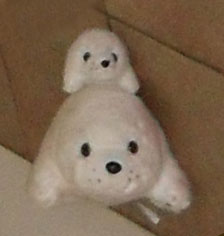 Charlies seal